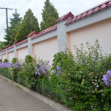 Mini-hôtel Mini уютный дворик *