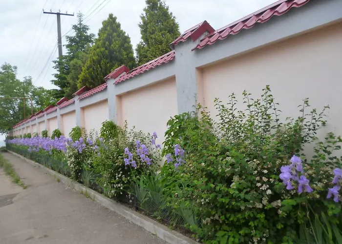 Mini-hôtel Mini уютный дворик *