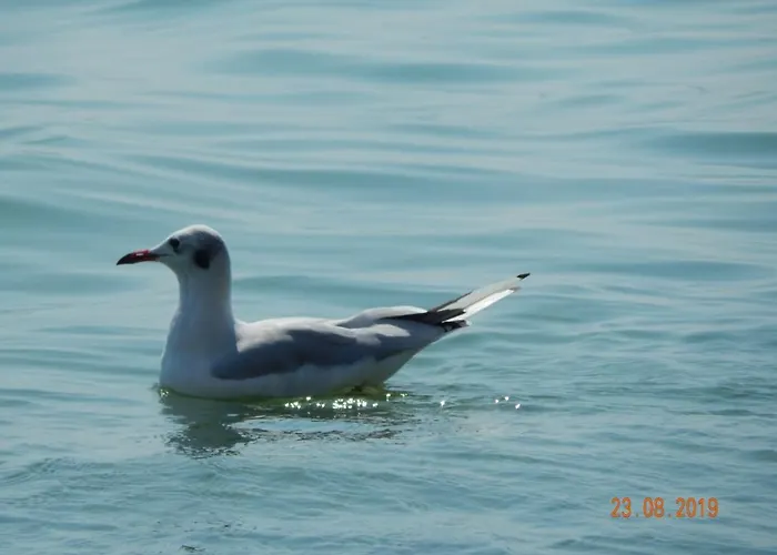 Mini уютный дворик * Одесса